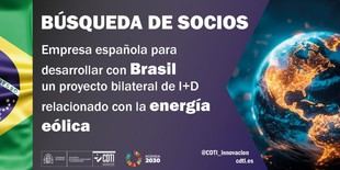 CDTI busca empresa española para proyecto de energía eólica en Brasil