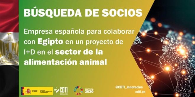 CDTI busca empresa española para proyecto de I+D en alimentación animal con Egipto