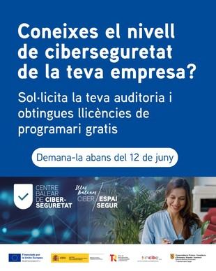 Auditoría gratuita de ciberseguridad y software para empresas en Baleares