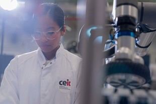 Ceit reporta un crecimiento del 19% y resultados excepcionales en 2024