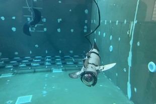 Desarrollan un pez robótico para mejorar la acuicultura y reducir el estrés en los peces
