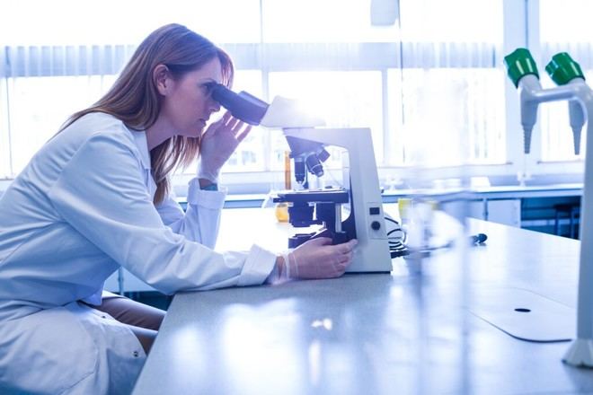 Aprobado el anteproyecto de Ley para el Avance de la Ciencia en Andalucía