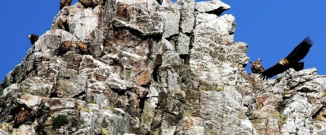Estudio destaca el Corredor Ambiental de la UNESCO en Extremadura como modelo de turismo sostenible
