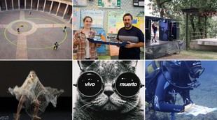 CSIC premia iniciativas de divulgación científica y ciencia ciudadana