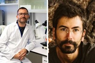 El CSIC obtiene dos subvenciones ERC para investigar el cáncer y la biodiversidad