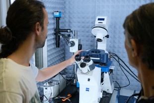 El CSIC desarrolla un innovador método de IA para predecir propiedades celulares nanomecánicas