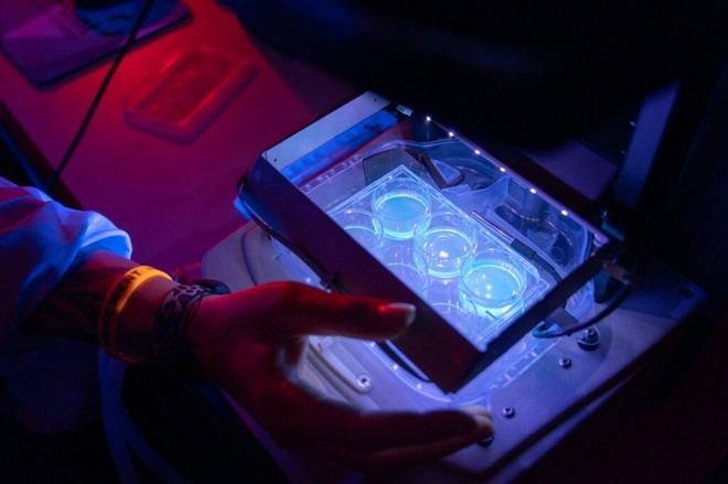 El CSIC se posiciona entre los diez principales organismos científicos de Europa en patentes europeas