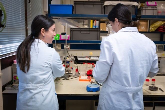 El CSIC y otros organismos europeos firman declaración por la igualdad de género en educación e investigación