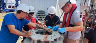 El CSIC inicia la restauración de corales en el mar de Alborán con arrecifes artificiales
