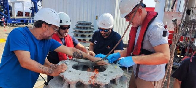 El CSIC inicia la restauración de corales en el mar de Alborán con arrecifes artificiales