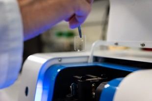 Nuevo impulso del CSIC para la colaboración en biomedicina