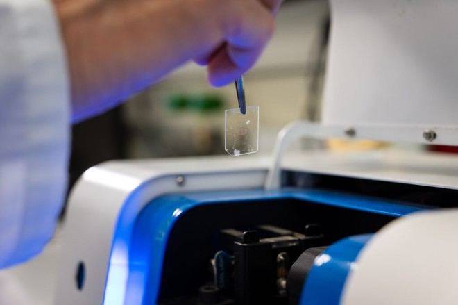 Nuevo impulso del CSIC para la colaboración en biomedicina