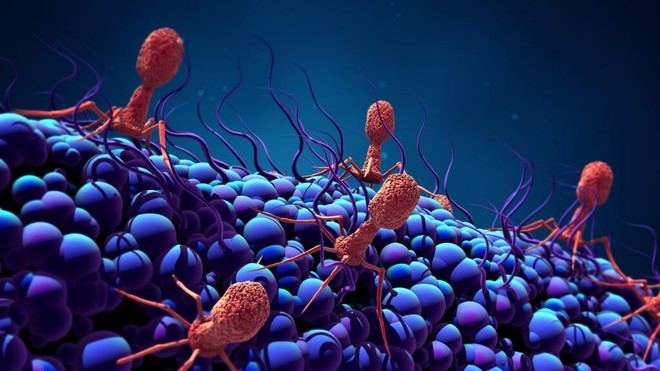 CSIC recibe 700.000 euros para avanzar en investigación de salud