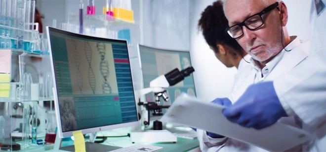 Maurizio Battino investiga la tecnología Organ-on-Chip para avanzar en nutrición
