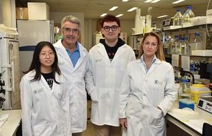 Investigadores de la UCV desarrollan nueva estrategia para combatir el VIH-1