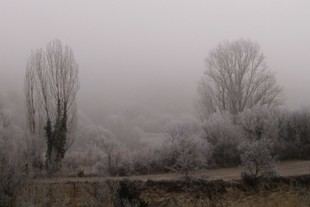 El frío extremo y la contaminación aumentan las crisis epilépticas