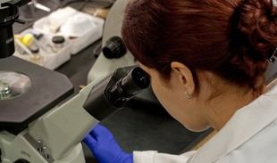 Andalucía destina 10,96 millones para formar a 97 investigadores predoctorales