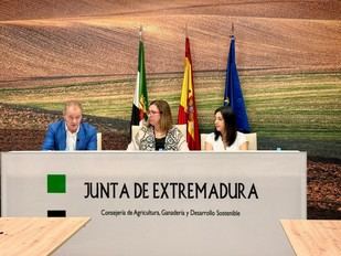 Cáceres acogerá el I Congreso Internacional de Cooperativismo y Economía Social el 28 de octubre