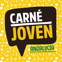 El IAJ permite solicitar el Carné Joven online para menores a través de representantes legales