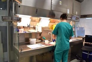 Jornada de puertas abiertas en el Instituto de Medicina Legal de Alicante para la especialidad MIR