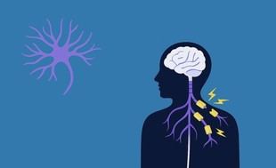Colaboración para investigar la esclerosis múltiple en España