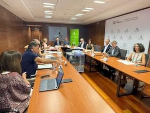 La Fundación Descubre adapta sus estatutos para unirse al sector público andaluz
