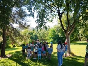 Más de 900 personas participan en el proyecto de ciencia ciudadana 'ConCiencia' Forestal