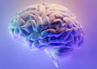 EXTRA-BRAIN: Innovación en IA inspirada en el cerebro humano