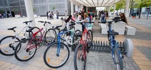 La Universidad de Cádiz debuta en el QS World University Rankings 2027