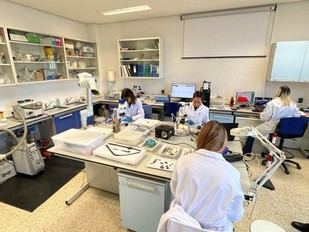 El SECYR se une al catálogo de E-RIHS, clave para la investigación del patrimonio en Europa