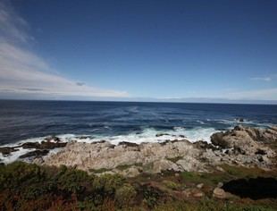 Tsunamis amenazan ecosistemas marinos en Chile y su recuperación es clave