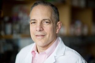 Elazer Edelman recibe el Premio Killian 2026-2027 por su investigación médica