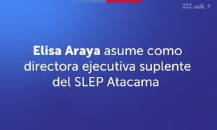 Elisa Araya es nombrada directora ejecutiva suplente del SLEP Atacama
