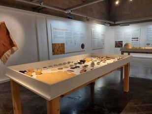 Exposición sobre usos culturales de plantas en Lleida
