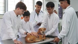 Medicina Veterinaria en UNAL Sede Palmira obtiene su propio SNIES