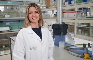 Descubren un extracto de alga marina como posible tratamiento para lesiones intestinales