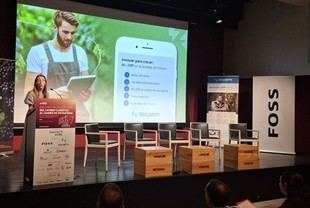 Transformación digital en bodegas: claves para el futuro del sector vitivinícola