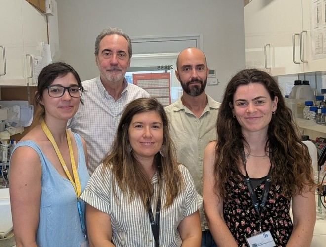 Descubren una nueva peroxina humana tras 20 años de investigación