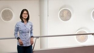 TUM recibe dos ERC Advanced Grants para investigar supernovas y tratamientos contra el cáncer