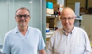 Investigadores de la UPV reciben apoyo europeo para proyectos innovadores contra el cáncer y chips fotónicos