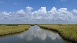 Crean un atlas global sobre el impacto de las mareas en los ríos costeros