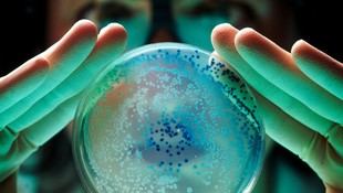 Detectan un gen que otorga resistencia a bacterias y se propaga globalmente