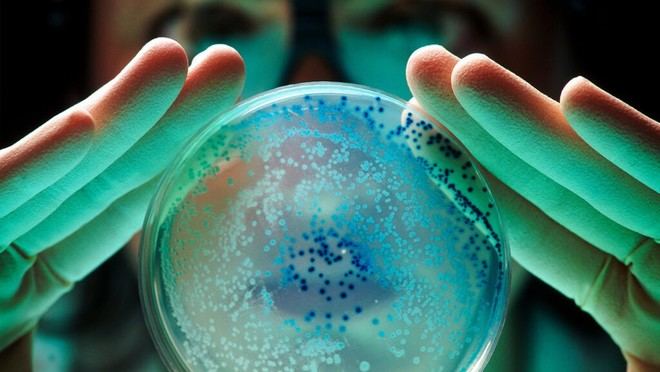 Detectan un gen que otorga resistencia a bacterias y se propaga globalmente