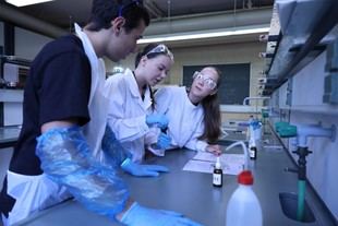 Estudiantes de secundaria realizan investigación en la Escuela de Química y Bioquímica de la FCUP