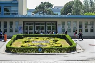 Elección de nuevos órganos en la Escuela Superior de Enfermería