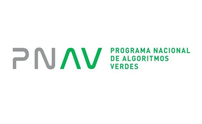 España establece una norma pionera para medir la sostenibilidad de la Inteligencia Artificial