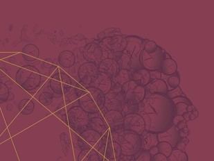 Finalistas del 3MT ULisboa 2026 confirmados