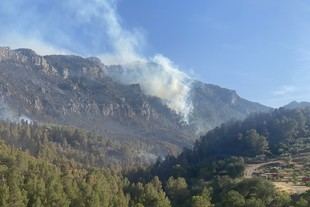 Nuevas estrategias para reducir incendios en áreas protegidas