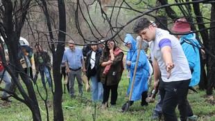 Estudiantes de Ingeniería colaboran en jornadas contra incendios en Lugo