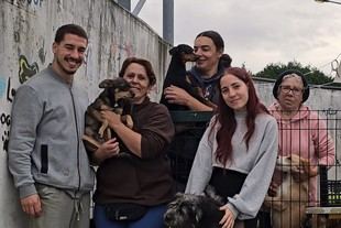 Estudiante de la FCUP lanza Pawseum, plataforma para facilitar la adopción de mascotas